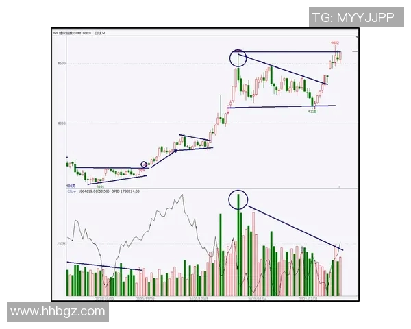 深入分析广州排球队运营模式与发展策略的热点解读