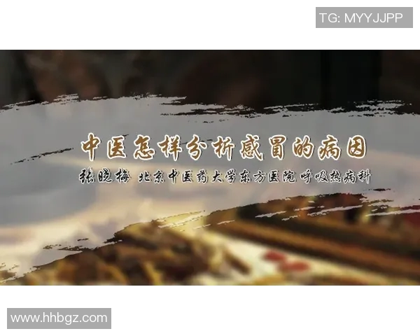 运动数据南京街舞队的阵地战分析与反思得失背后的故事与启示 运动数据南京街舞队的阵地战分析与反思得失背后的故事与启示